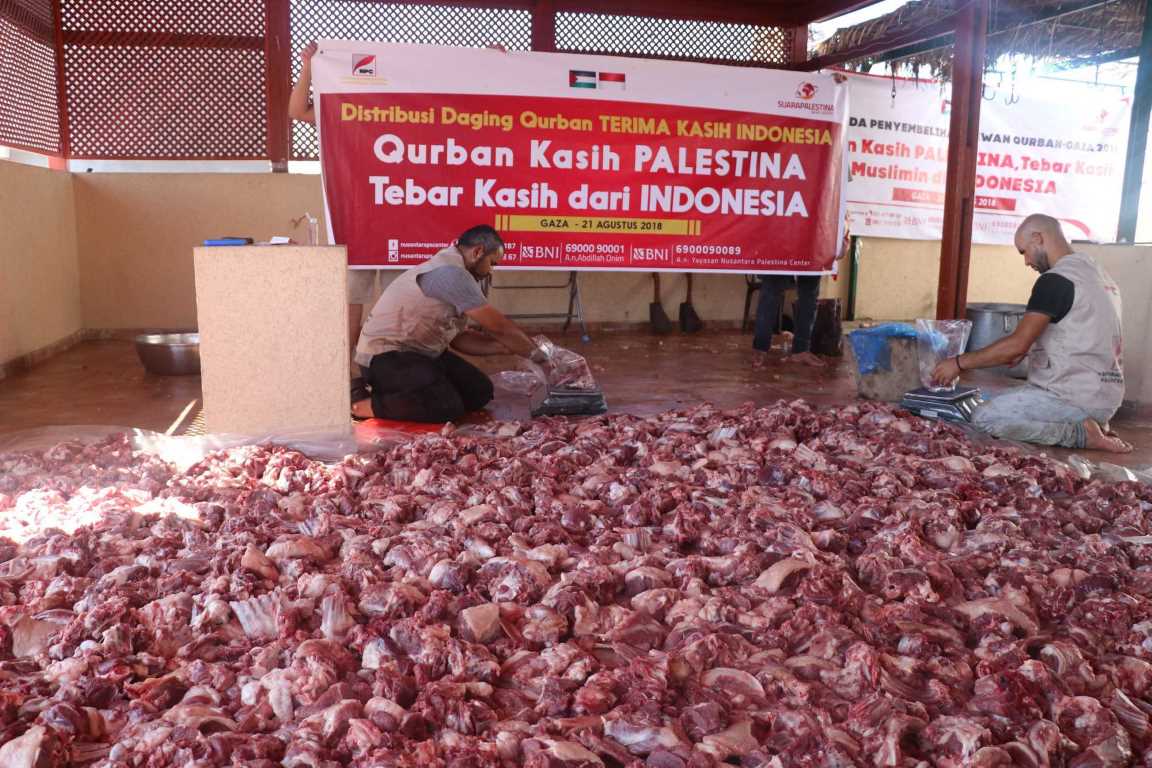 14 Ton Daging Kurban dari Indonesia untuk Muslimin di Jalur Gaza