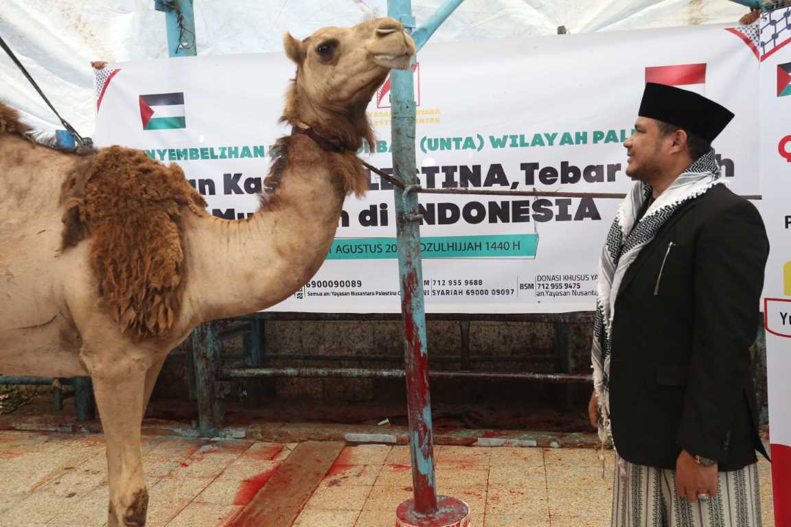 NPC Distribusikan Kurban untuk 2.600 Kepala Keluarga di Palestina