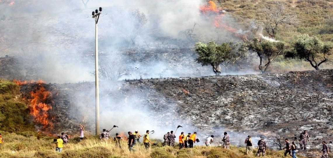 Warga Yahudi Membakar Lahan Pertanian di Selatan Nablus