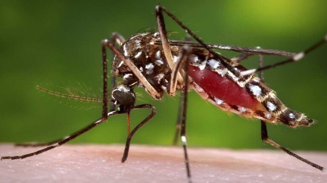 45 Orang Meninggal Akibat Demam Tak Dikenal di Sudan