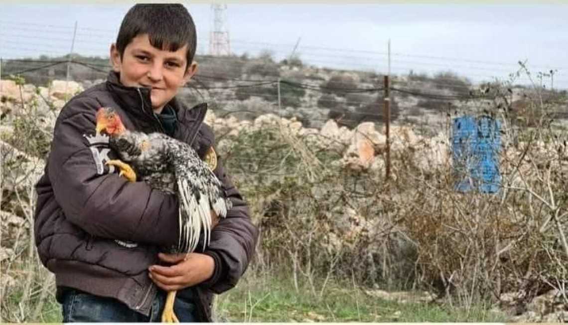 Ayam Lebanon Mengacau Pasukan Israel di Perbatasan