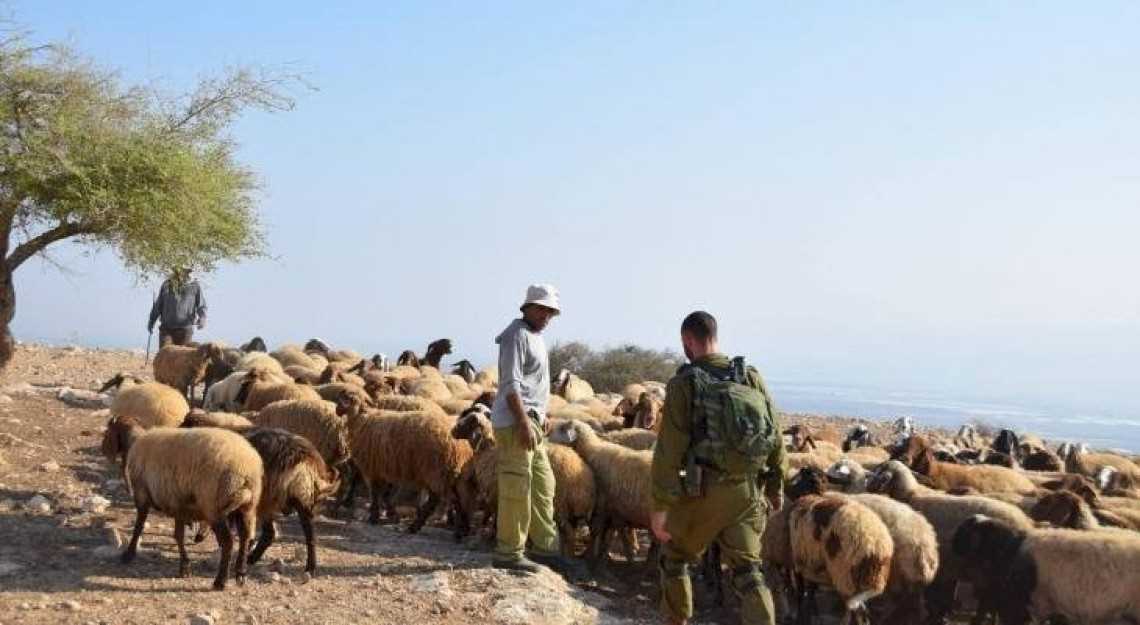 Pemukim Israel Serang Pengembala Palestina di Hebron