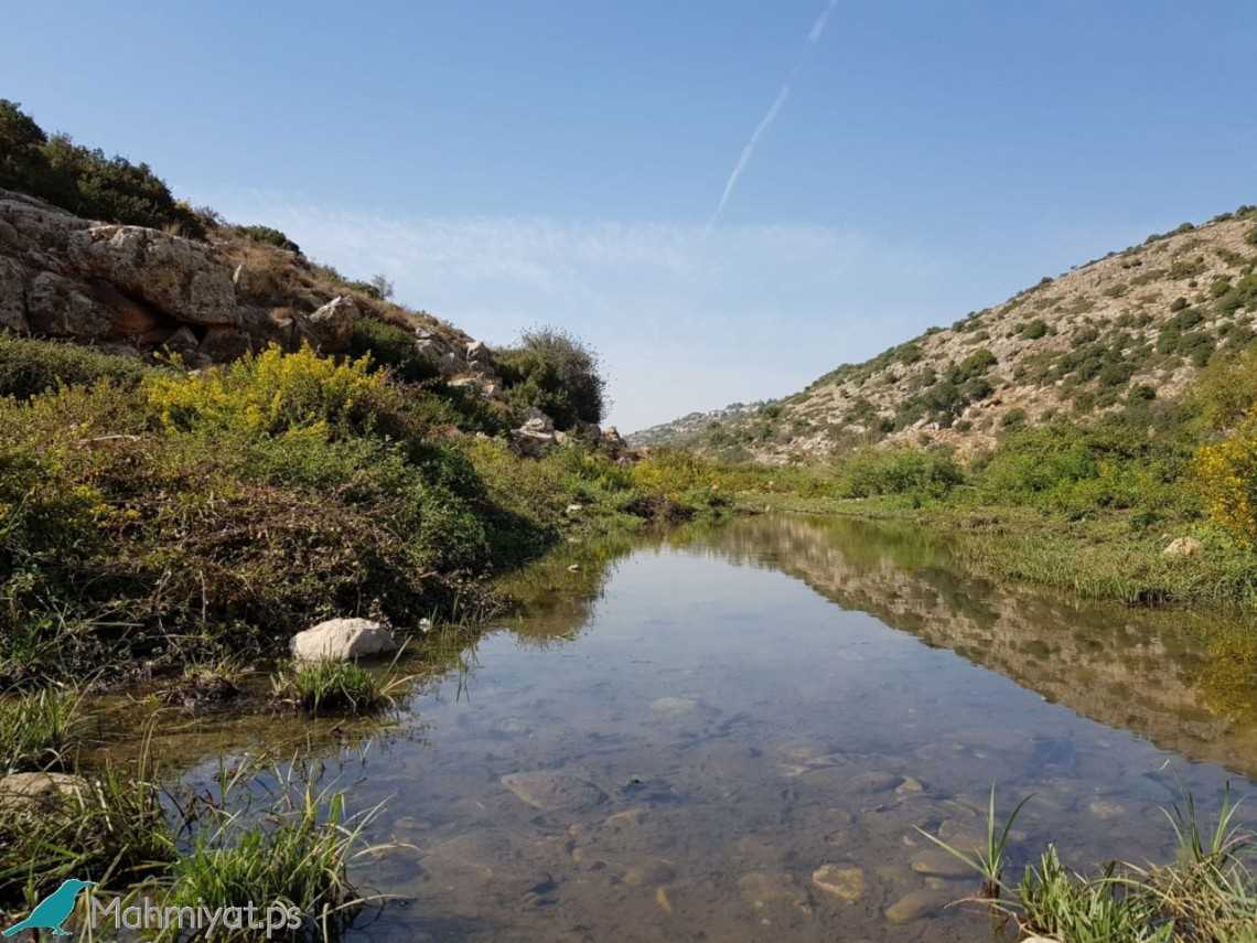 Wadi Qana, Cagar Alam Palestina yang Bertahan Hidup Menghadapi Penjajahan Israel