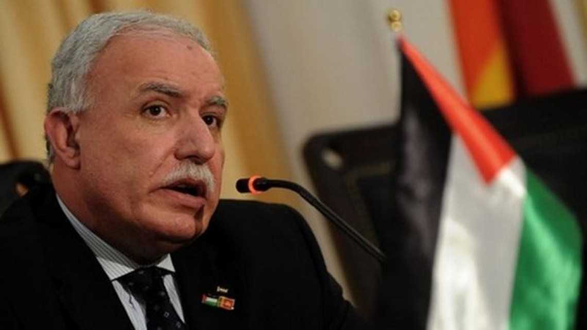 Riyad al-Maliki Sambut Baik Resolusi UNHRC Tentang Situasi di Palestina