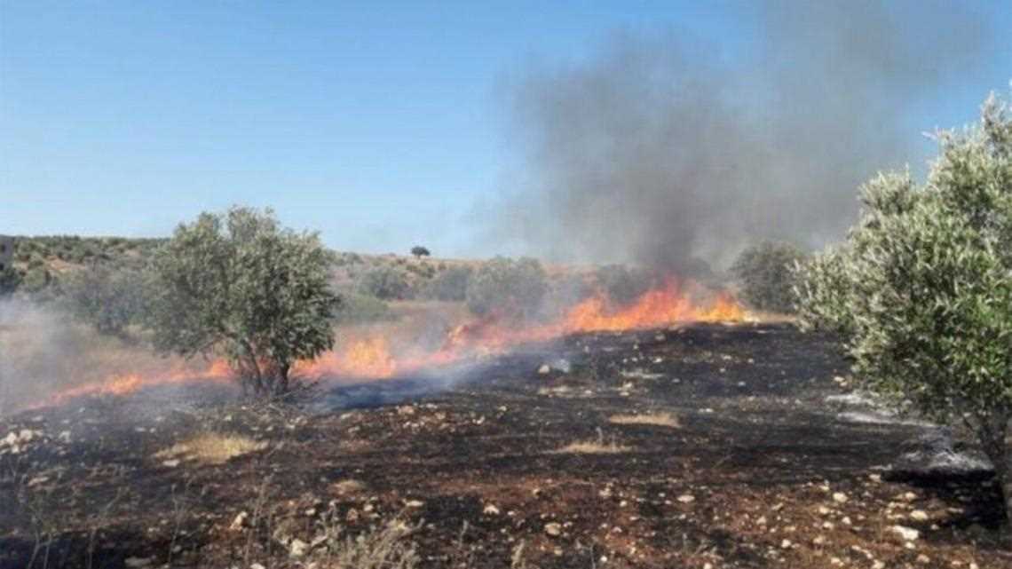 Gerombolan Pemukim Israel Bakar 15 Hektare Lahan Palestina di Betlehem