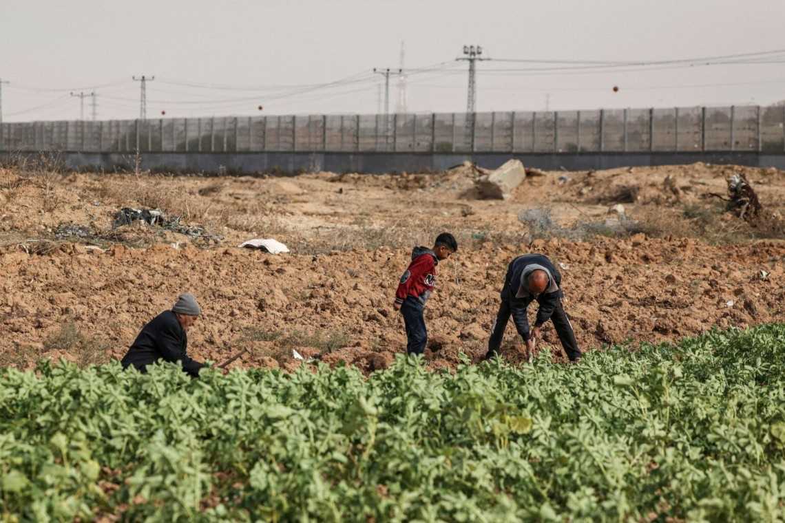 Israel Lepaskan Tembakan ke Arah Petani dan Nelayan di Jalur Gaza