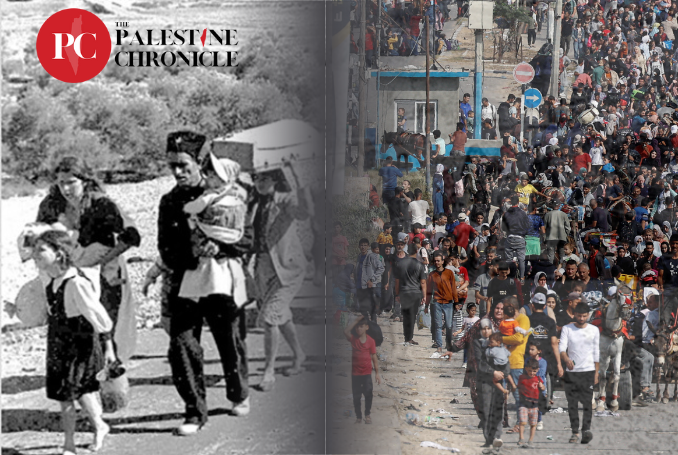 Nakba: 77 Tahun Pengusiran Rakyat Palestina dan Fakta Penting yang Perlu Kita Ketahui