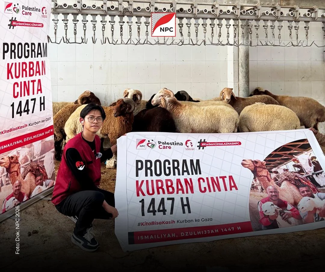 Dari Indonesia untuk Gaza, Domba Kurban Sahabat NPC Siap Disalurkan
