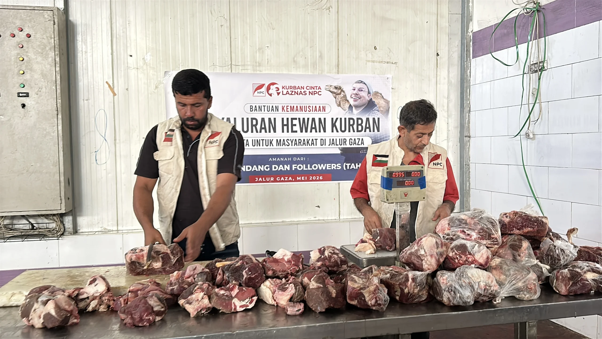 NPC Salurkan 1,5 Ton Daging Kurban untuk 750 Keluarga di Gaza, Jangkau Tiga Wilayah Terdampak