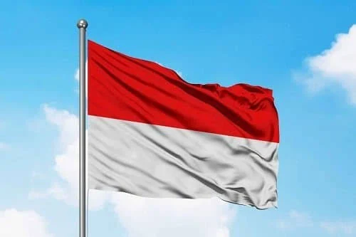 Indonesia Tegaskan Penolakan terhadap Aneksasi Wilayah Palestina dalam Pernyataan Bersama Delapan Negara